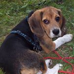 Profile Picture of Doris Wohlfahrt (@doris.wohlfahrt.5) on Instagram