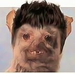 Profile Picture of Michael Trigueros (@mike.lugo.31) on Facebook