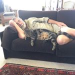 Profile Picture of Peter Arden (@peterarden1) on Instagram