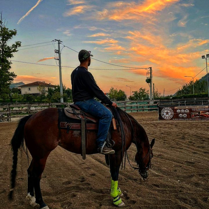 Profile Picture of fabioiannelliOO (@fabioiannellioo) on Tiktok