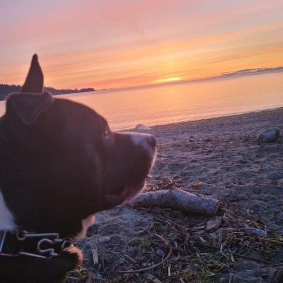 Profile Picture of Kimmie jai Tenhet (@kimmiejai) on Poshmark