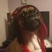 Profile Picture of Jacob Kellogg (@jacob.kellogg.50) on Facebook