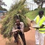 Profile Picture of Christopher Makoye (@christophermakoye) on Instagram