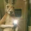 Profile Picture of Daniel Ricardi (@danielricardi) on Tiktok