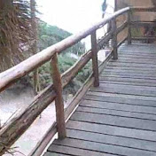 Profile Picture of Travis Stein (@travisodee) on Youtube