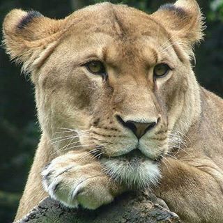 Profile Picture of Luana Paula Rodrigues Pathak (@luanapaula.rodriguespathak.5) on Facebook