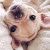 Profile Picture of Addison Payne (@addisonpayne25) on Pinterest
