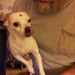 Profile Picture of Cary N Jeri Anders (@carynjeri) on Pinterest