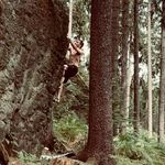 Profile Picture of Paul Steingässer (@paulsteingaesser) on Instagram