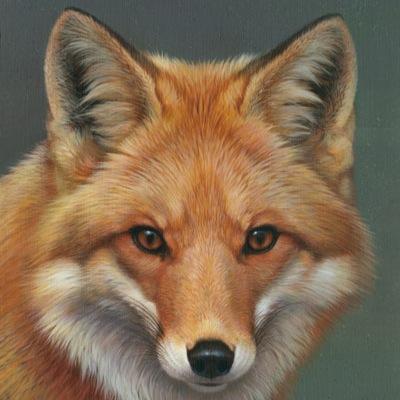 Profile Picture of Darin Joseph Counts (@Pyro14789) on Twitter