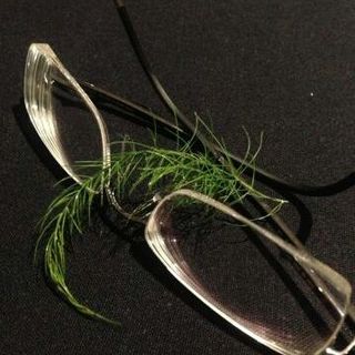 Profile Picture of Peter Upton (@peter.upton.54966) on Facebook
