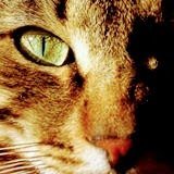 Profile Picture of @gracielajorge23 (@gracielajorge21) on Twitter