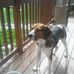 Profile Picture of Caleb Hummell (@caleb.hummell.121) on Facebook