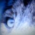 Profile Picture of Freddy Wege (@freddy.wege.9) on Facebook