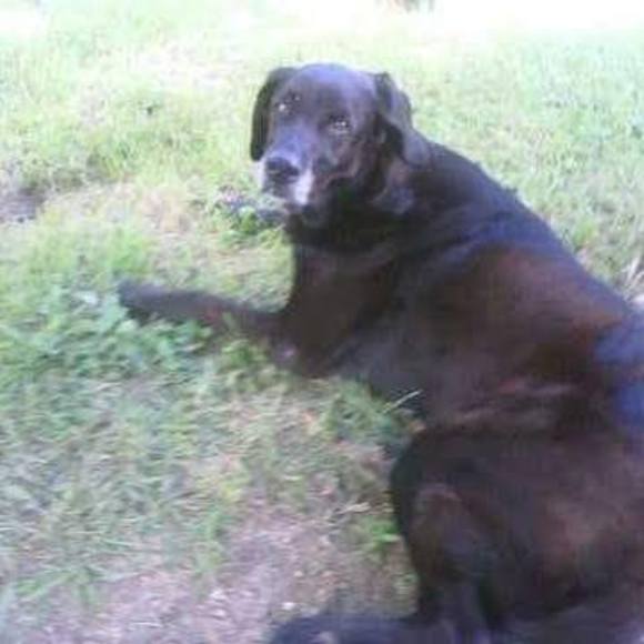 Dana Heims - Poshmark Profile Picture of Dana Heims (@boonecarmen22) on Poshmark