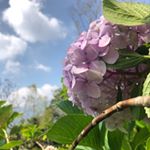 Profile Picture of Ruth Herrera (@rehm.1295) on Instagram