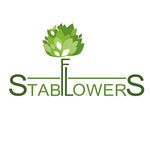 Profile Picture of Мох:Санкт-Петербург,Ростов,МСК (@stabflowers_flo) on Instagram