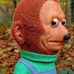 Profile Picture of Paul Cook (@paul.cook.925) on Facebook