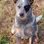 Profile Picture of James Mahler (@james.mahler.627279) on Facebook