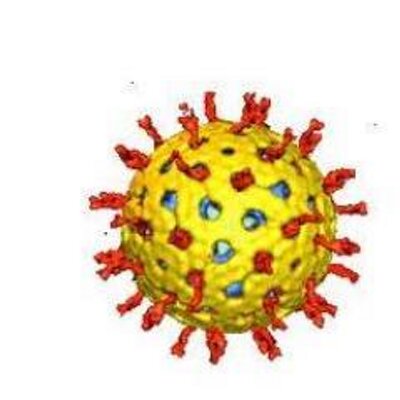 Profile Picture of Mario Barro (@VRP_MB) on Twitter