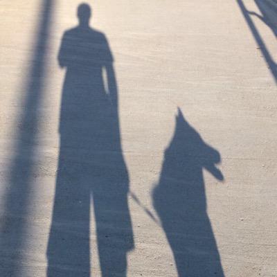 Profile Picture of Patrick Reagan (@PatrickjReagan) on Twitter