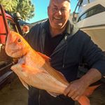 Profile Picture of Brian Twigg (@bdtwigg) on Instagram