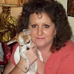 Profile Picture of Becci Bryant Pippin (@beccipippin) on Instagram