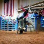 Profile Picture of Jake Willis (@jakewillis1282) on Instagram