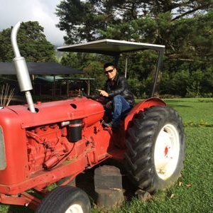 Profile Picture of Augusto Arce (@augustoarce) on Twitter