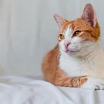 roxana evans - Instagram Profile Picture of roxana evans (@roxanaevans60) on Instagram