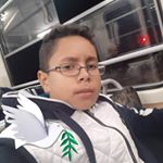 Profile Picture of Lázár Tibor Sándor (@20080801t) on Instagram