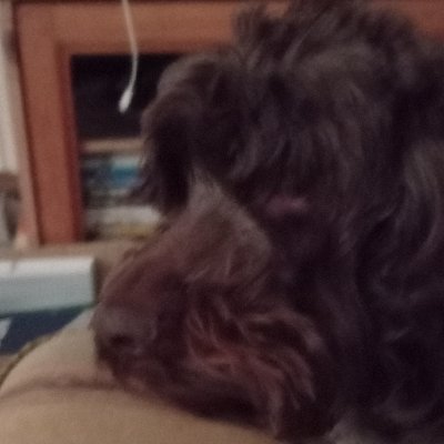 Profile Picture of David James Kubicki (@kubicki_james) on Twitter