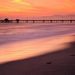 Profile Picture of Lisa Simonian (@lasimonian) on Pinterest