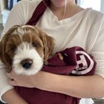 Profile Picture of Alyssa Mae♡︎ (@alyssa.mae.b.quirky) on Instagram