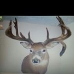 Profile Picture of Kevin Tschetter (@tschetter.kevin) on Instagram