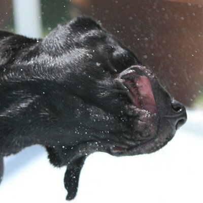 Profile Picture of David Breidenbach (@round1db) on Twitter