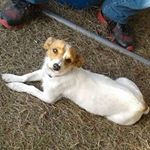 Profile Picture of Isabel Barboza (@barbozais123) on Instagram