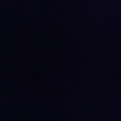 Profile Picture of Cody Fitzgerald (@codyfitzgerald7959) on Youtube