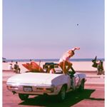 Profile Picture of Mélanie Laplante (@mel_12655) on Instagram