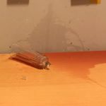 Profile Picture of Jan Gajdoš (@jan_gajdos_) on Instagram