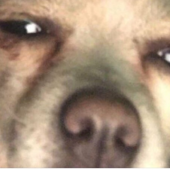 Profile Picture of Shirley Holmes (@shirleyhhhhh678) on Poshmark