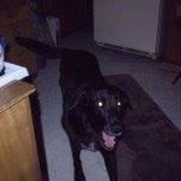 Profile Picture of Cheryl Batstone (@cbatstone) on Poshmark