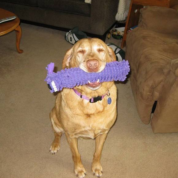 Profile Picture of Hunter Popour (@hpops6295) on Poshmark