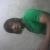 Profile Picture of Anup Magar (@381941135) on Myspace