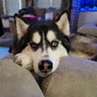 Profile Picture of Jason Witkowsky (@jason-witkowsky) on Quora