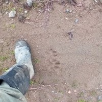 Profile Picture of Erik Land (@erik-land-3) on Quora