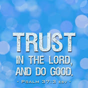 Profile Picture of David Kondor (@davidkondor3902) on Youtube