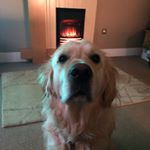 Coopermoore - Instagram Profile Picture of Coopermoore (@cooper.moore3) on Instagram