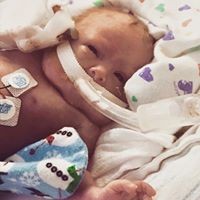 Profile Picture of Amanda Kapes (@amanda-kapes) on Quora