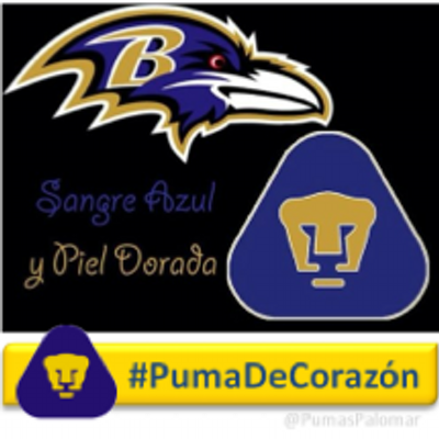 Profile Picture of Harris 96º (@harold_arellano) on Twitter